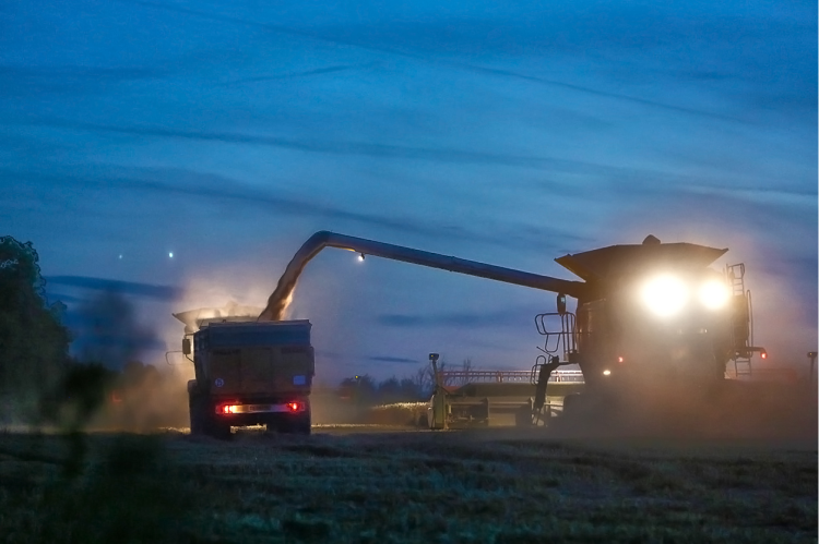 Farm LED Utility Mount Lighting